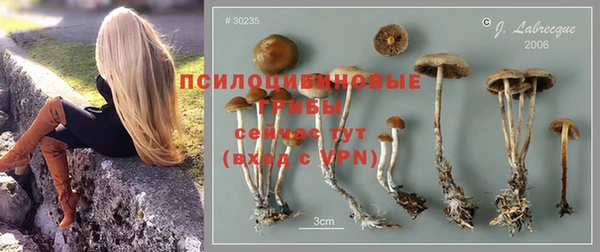 мескалин Балахна